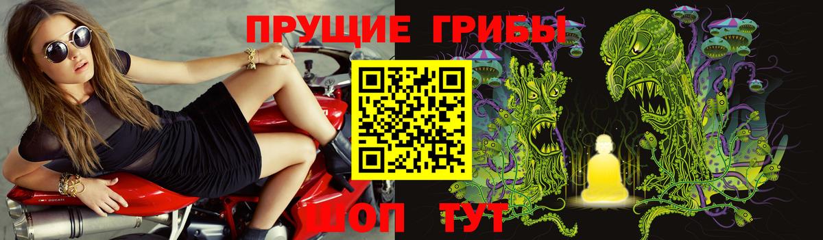 Серпухов  Псилоцибиновые грибы прущие грибы  Вход с VPN 
